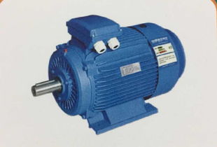 辰馬物資 專業(yè)的西安ykk系列高壓三相異步電動機(jī)公司 寶雞西瑪電機(jī)